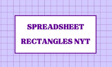 spreadsheet rectangles nyt